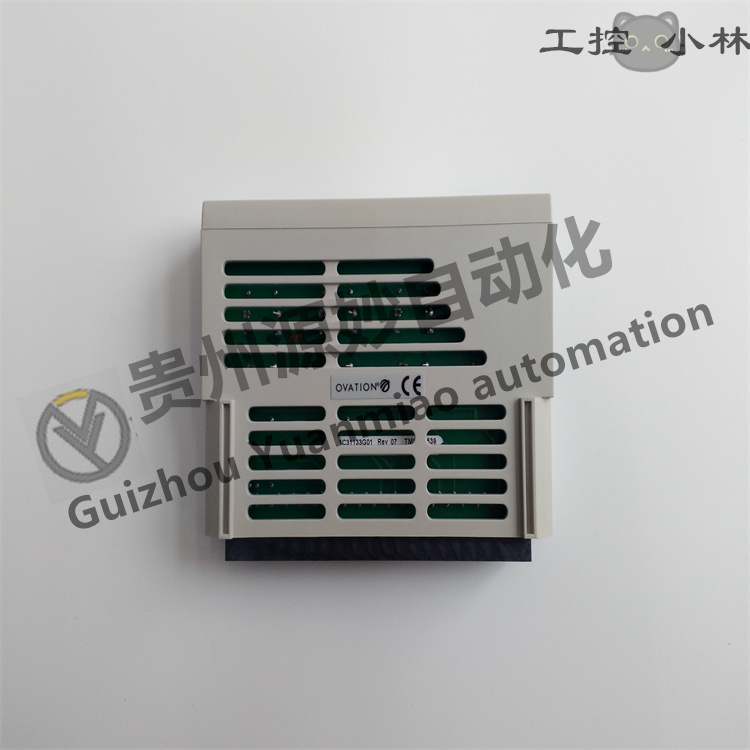 1C31132G01 (1).jpg