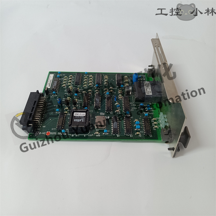 AIP591 (2).jpg